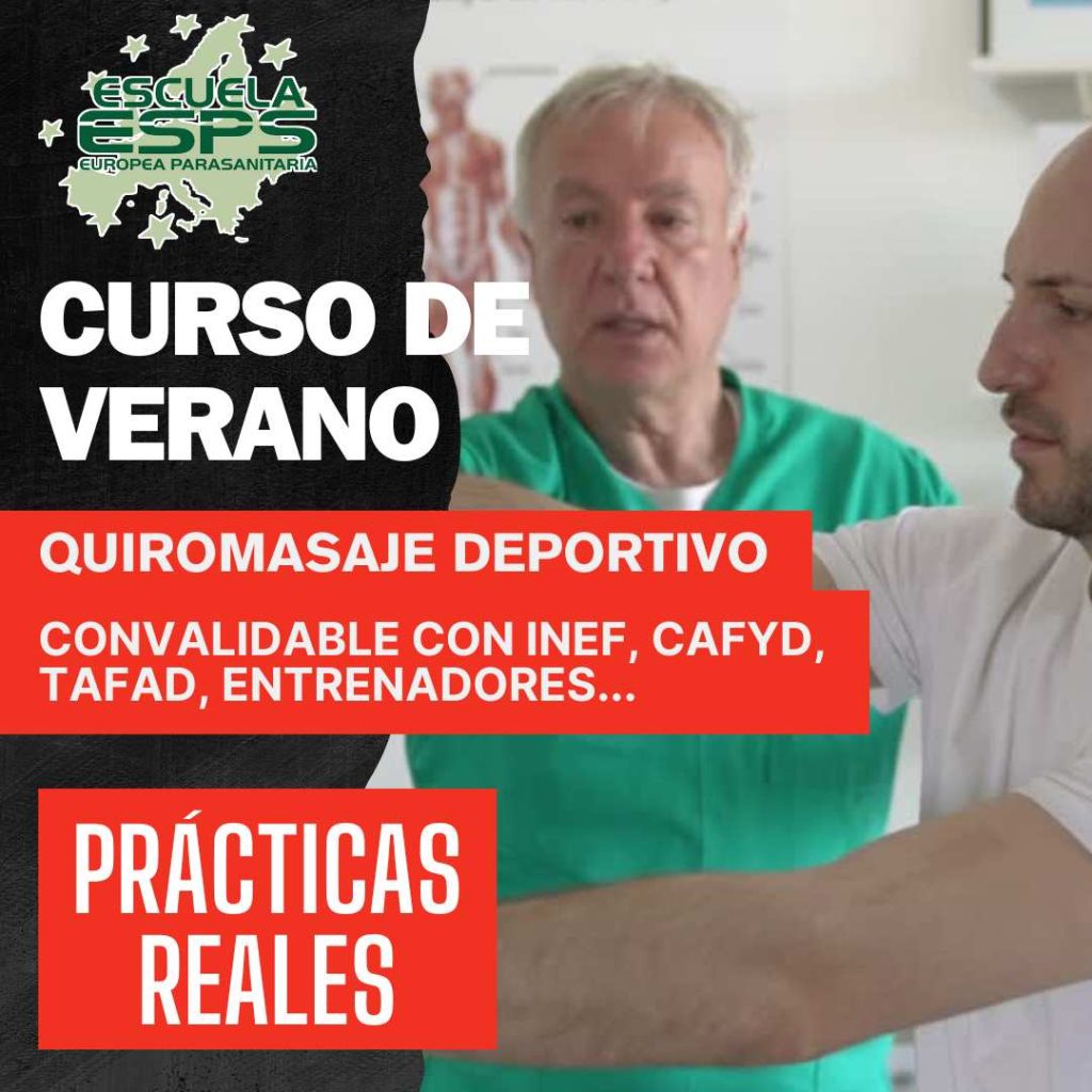 cursos de quiromasaje y quiromasaje deportivo intensivos de verano aprende quiromasaje y anatomía con hasta 3 app´s modernas de anatomía